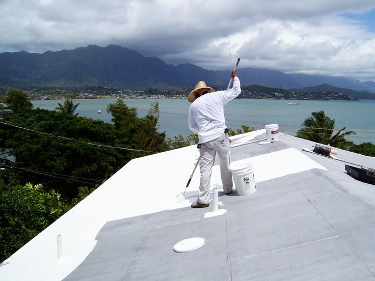A Complete Guide to Professional Metal Roof Painting Services