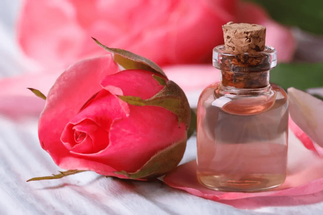 Global Rose Flower Extract Market Trend, Demand, Forecast to 2023
