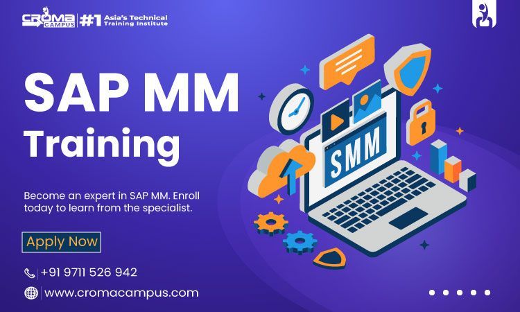 Revealing the Desirability of Sap Mm in 2024
