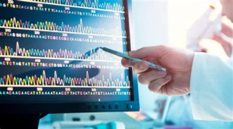 Sanger Sequencing Service Market 2028 - Value Market Research