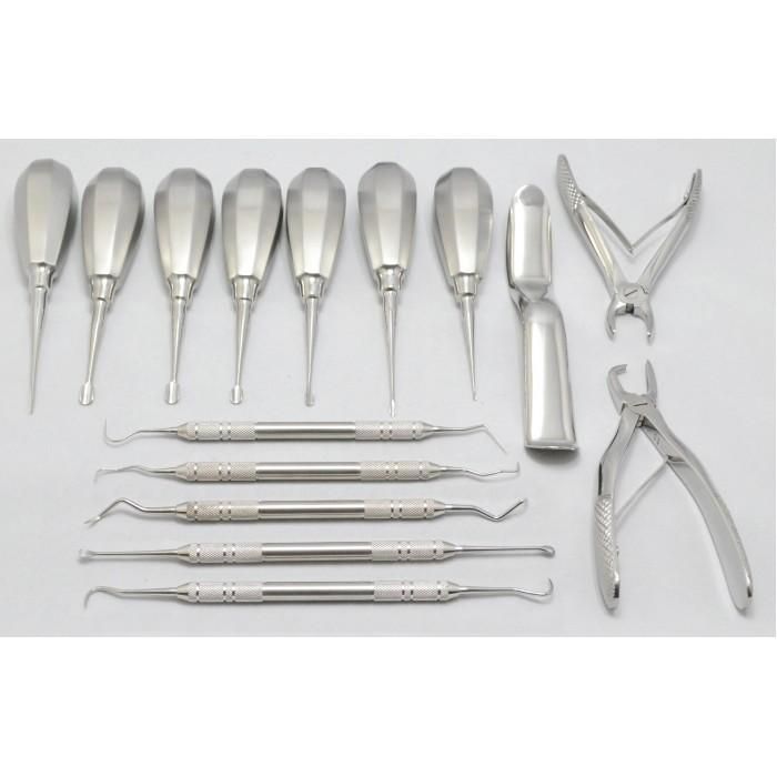 Global Veterinary Dental Scalers Market Size See Incredible 2030