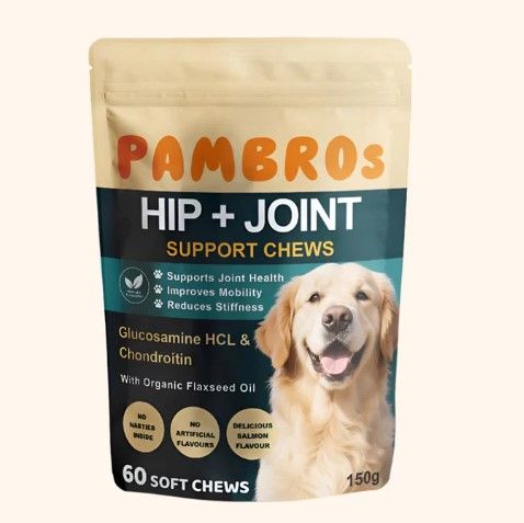 Hip and Joint Supplements for Dogs: Advanced Joint Care for Active and Senior Pets