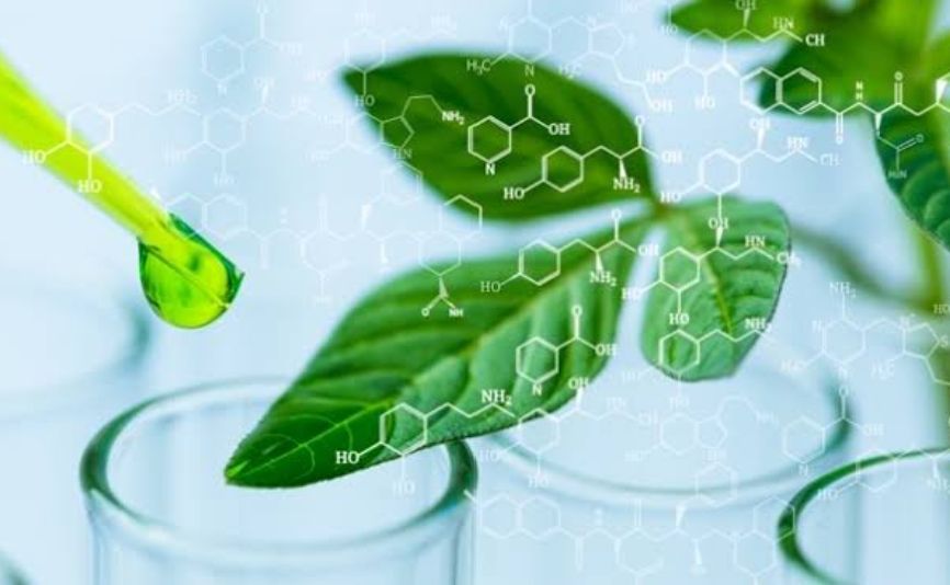 Biotechnology 