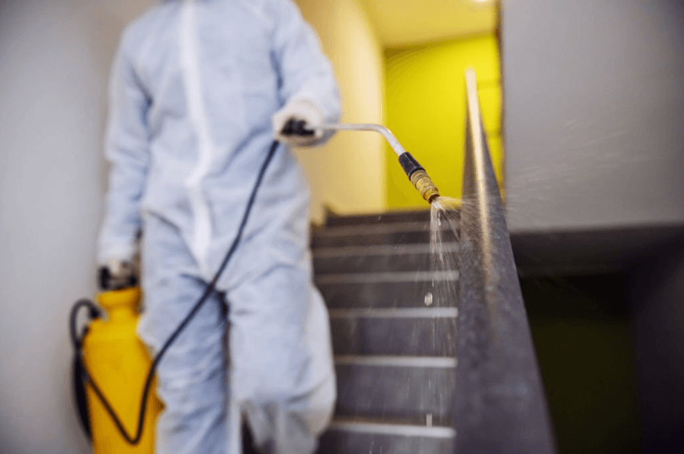 Why Family-Owned Businesses Are the Best Choice for Pest Service