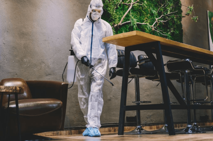 Importance of Hiring Professionals Dead Animal Removal Services
