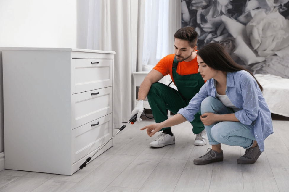 The Truth About Diy Pest Control: Why You're Wasting Your Money