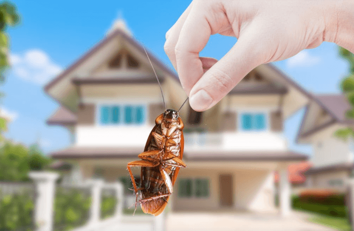 5 Tips for Safeguarding Your Property Against Unwanted Wild Guest