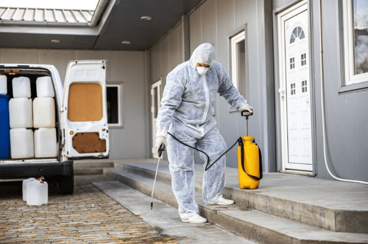 How to Prevent Insects From Entering Your Home