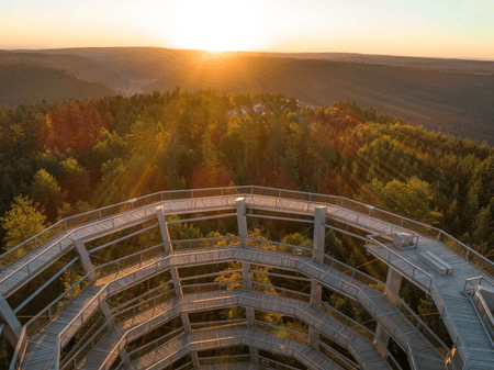 Die Majestät Der Natur Entdecken: Baumwipfelpfad in Wildbad