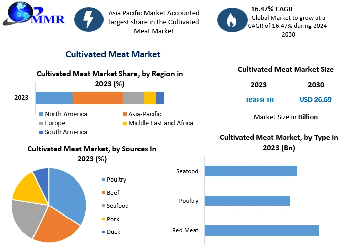 Investing in Cultivated Meat Industry: Market Leaders, Emerging Players, and Growth Opportunities to 2030