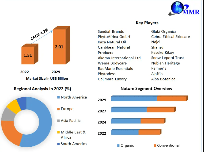 The Rising Demand for Spicy Biscuits Market Size, Share, and Future Growth Prospects