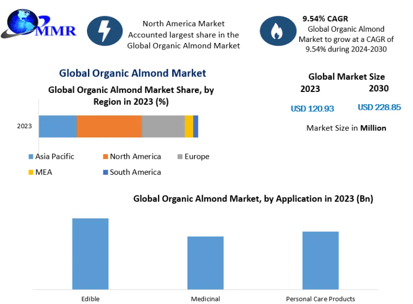 Riding the Wave: Key Growth Levers and Market Size Projections for Organic Almonds Market to 2030