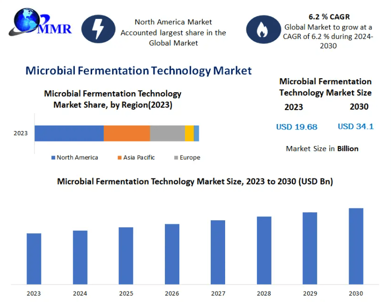Microbial Fermentation Technology Market Forecast: Market Size, Share, and Revenue Outlook