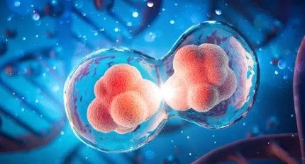  Non-Cellular Purity and Modern Safety Standards