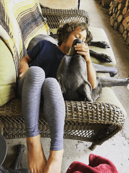 Dog Walking in Bellevue — The Complete Guide for Busy Pet Parents