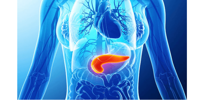Which Doctor Help in Losing Weight?