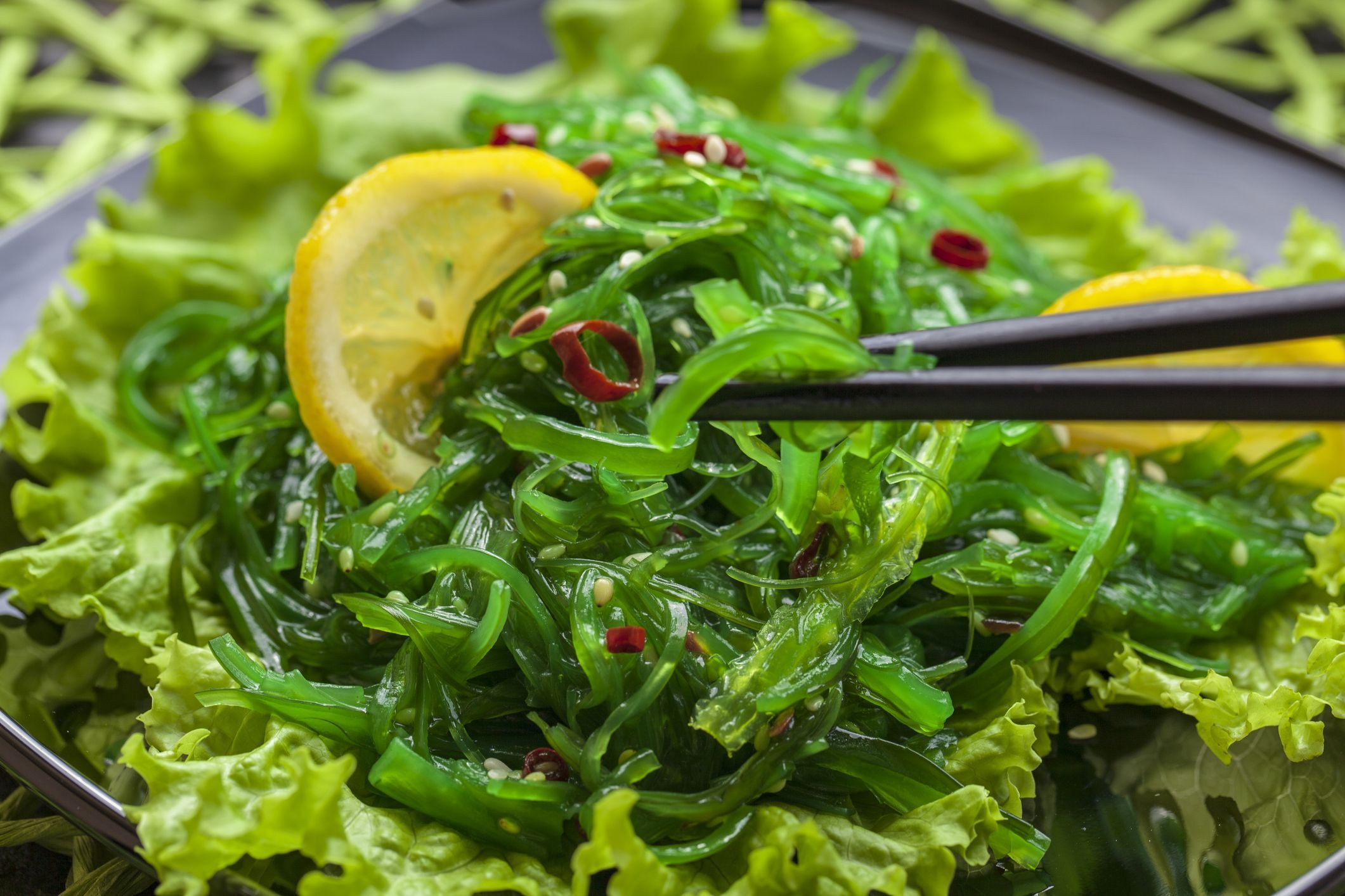 Seaweed Source Hydrocolloids Market Forecast Report, 2028