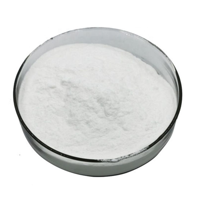 Global Sebacic Acid Market: Latest Trends and Forecast to 2028
