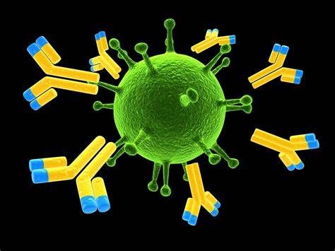 Secretory Immunoglobulin a Market Research Report to 2028