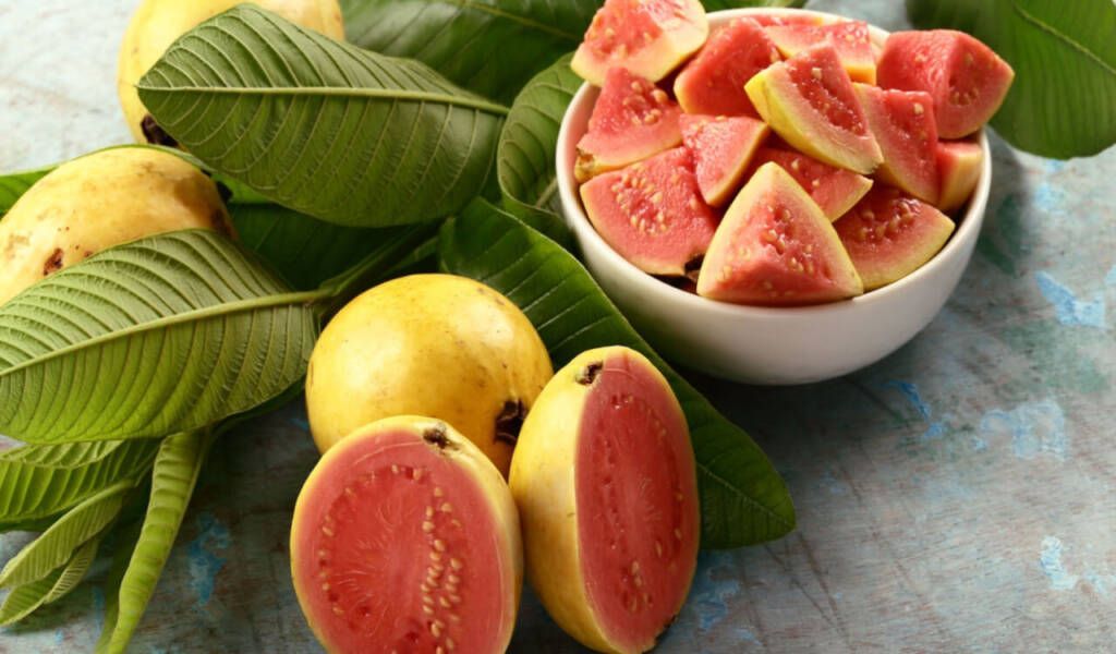 Several Health Benefits of the Guava Fruit