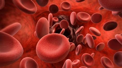 Life Science Analytics Market | Industry Size Report 2020-2028