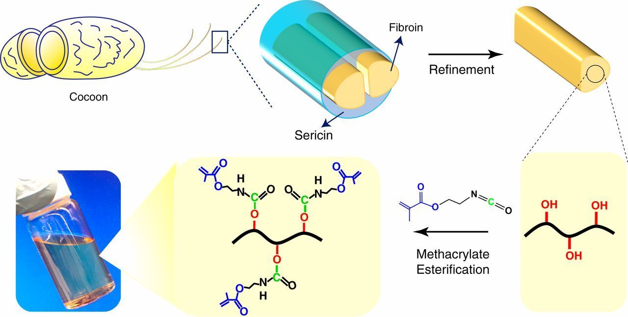 Silk Fibroin Market Size 2021–2028