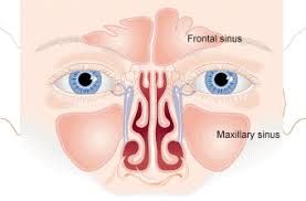 Sinusitis Treatment Market Industry Forecast Report, 2028
