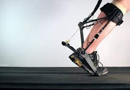 Smart Exoskeleton Market Size, In-Depth Analysis Report