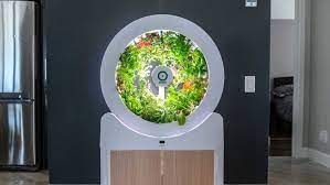 Smart Indoor Garden Market Growth Analysis Report Till 2028
