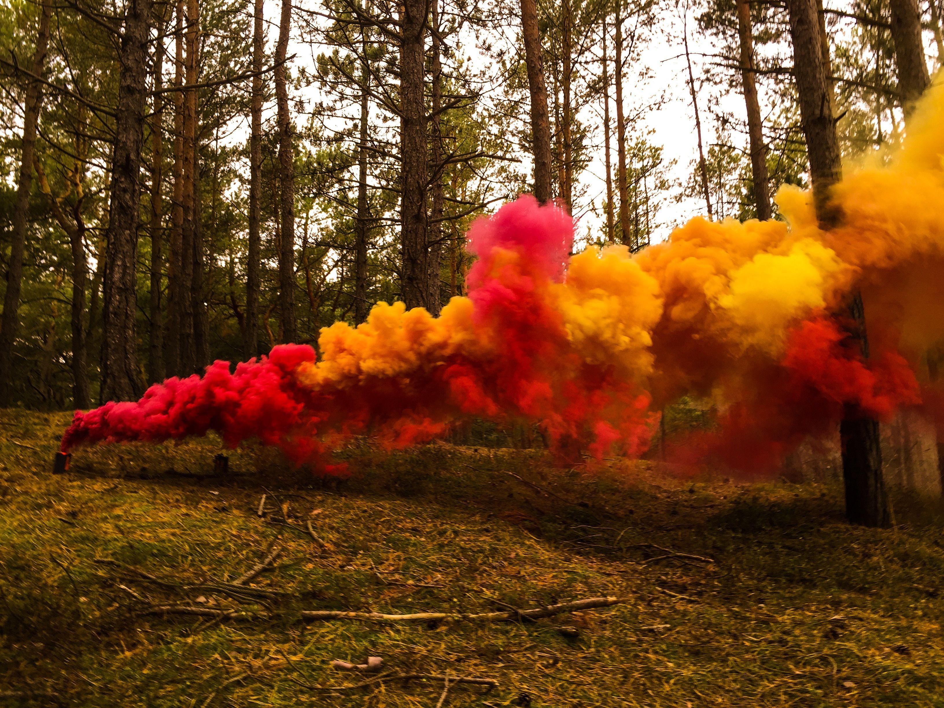 Smoke Dye Market Share, Demand & Growth Analysis Report to 2028