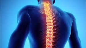 Spinal Fusion Devices Market Players Analysis Report Till 2028
