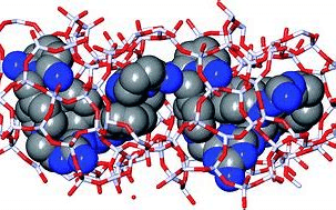 Keyhole Limpet Hemocyanin Market Overview Survey 2022 to 2028