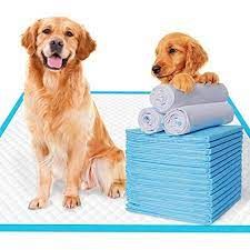 Super Absorbent Pet Pad
market Key Companies Trends by 2028