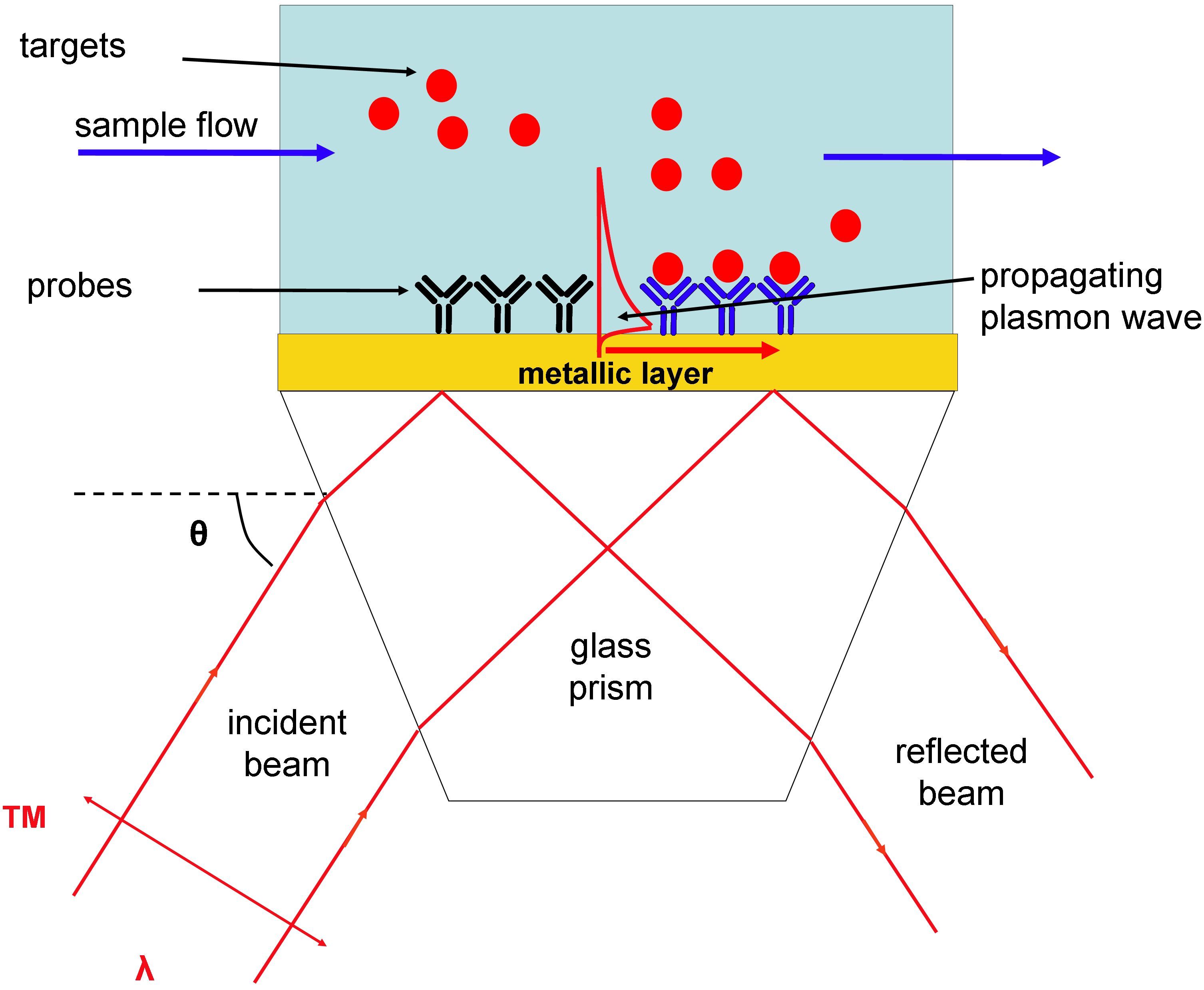 Surface Plasmon Resonance Market Outlook Report Upto 2028