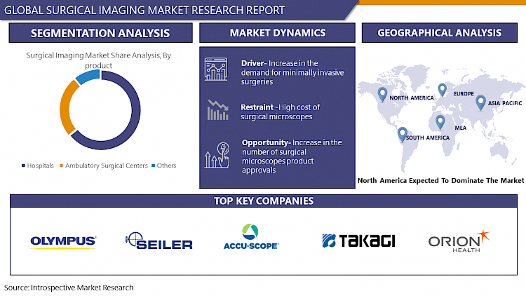 Surgical Imaging Market Forecast to 2029 - Analysis -by Technolog
