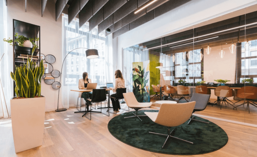 Greenovation: Cultivating Sustainable Spaces for Work