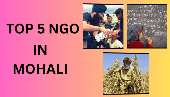 Top 5 Ngo's in Mohali Which Work for the Betterment of Society