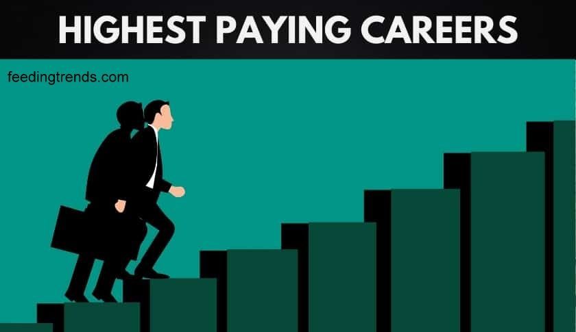 Top 10 Highest Paying Jobs Around The World