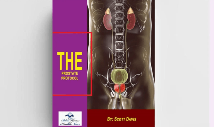 The Prostate Protocol Reviews (Customer Alert) Scott Davis Prosta