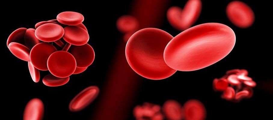 Thrombophilia Testing Market Growth Analysis Report to 2028