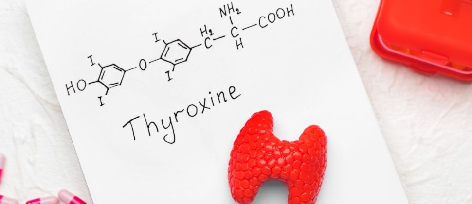 How to Prepare for Your Thyroid RFA Consultation and Process