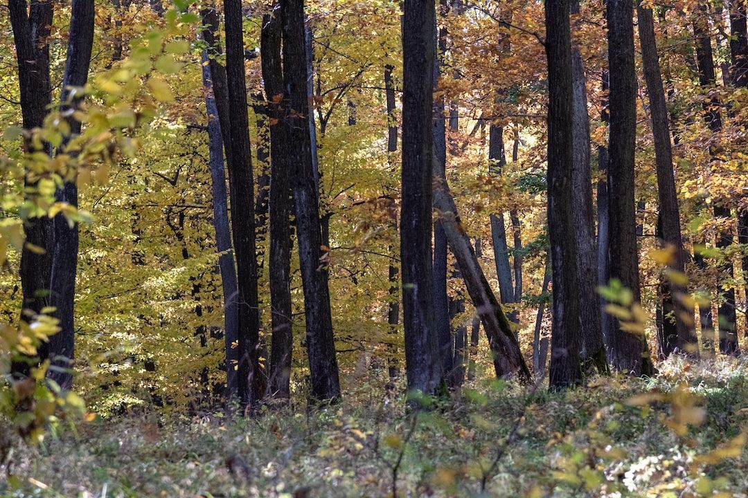 Global Integrated Pest Management Market Analysis, Share, Size