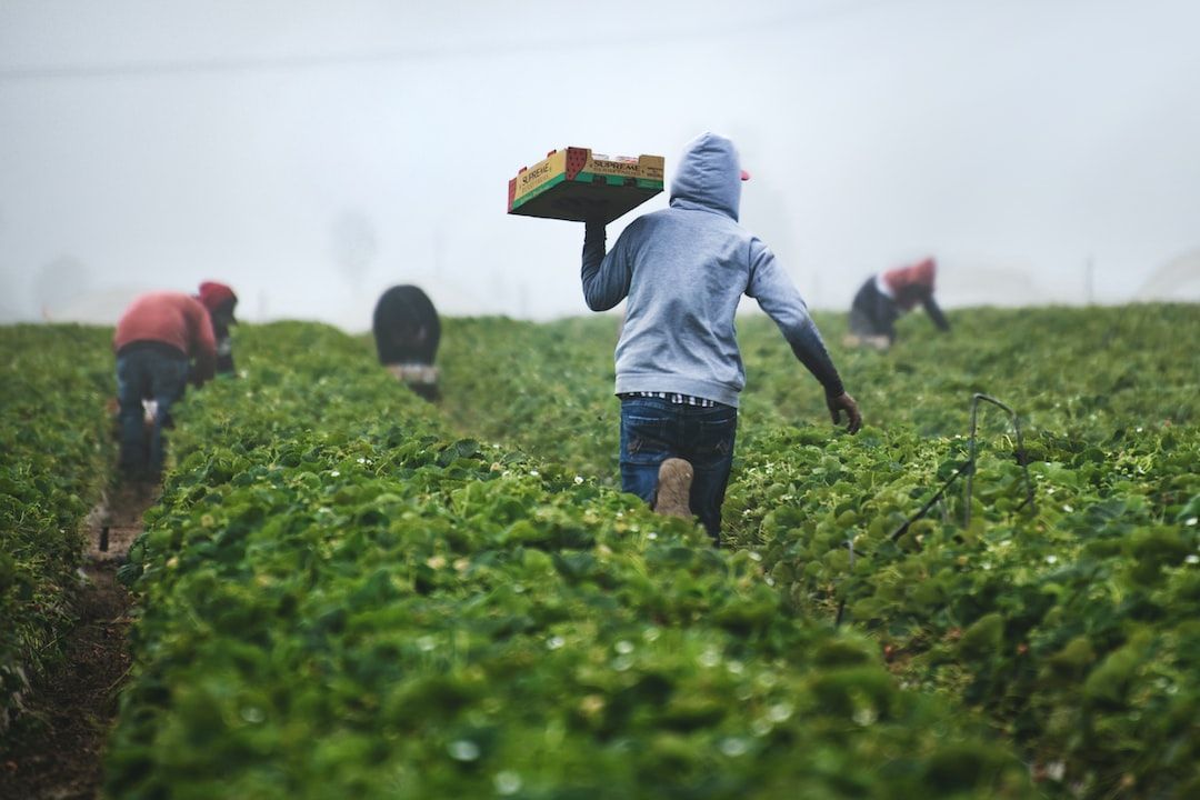 United Kingdom Precision Farming Market : Exploring Opportunities