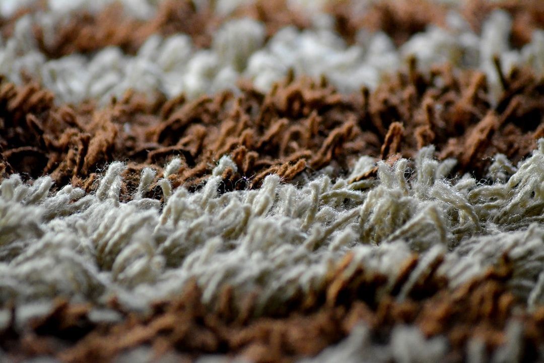 How to Clean a Carpet in Less Time Than You Thought