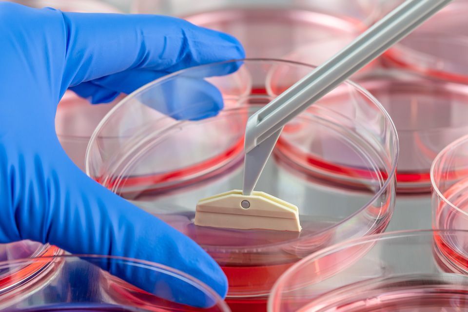 Tissue Engineering Market Size, Analysis and Forecast to 2028
