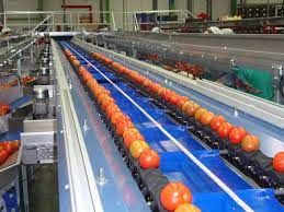 Tomato Sorting Machine Market Industry Forecast Report, 2028

