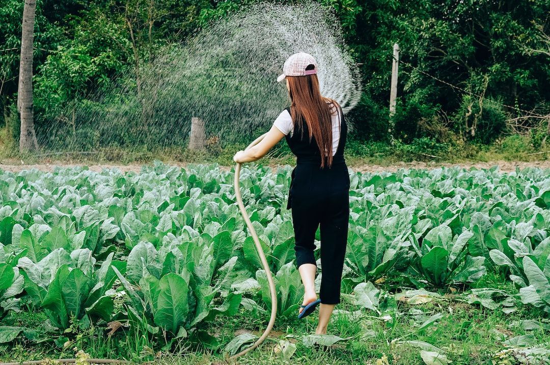 Sprinkler Irrigation System Market 2017-2027: Emerging Opportuni
