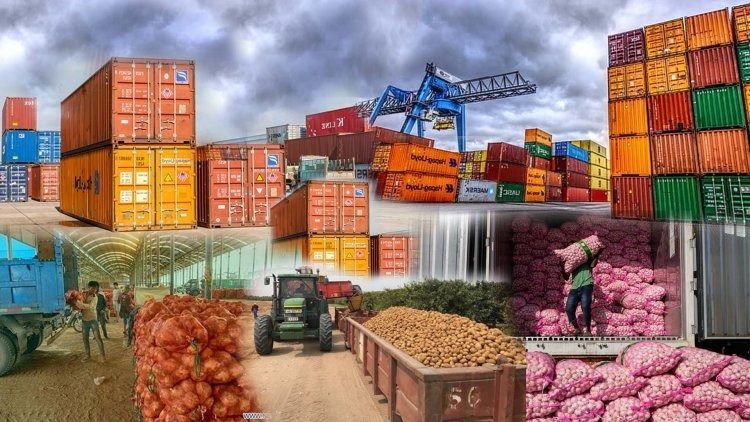 Leading Farm Exports From the US: Trade Intelligence Guide
