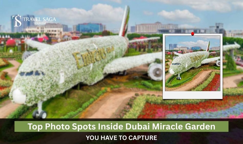 Top Photo Spots Inside Dubai Miracle Garden You Have to Capture