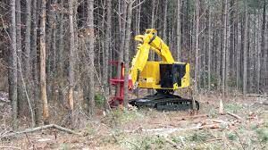 Track Feller Bunchers Market Size, In-Depth Analysis Report 
